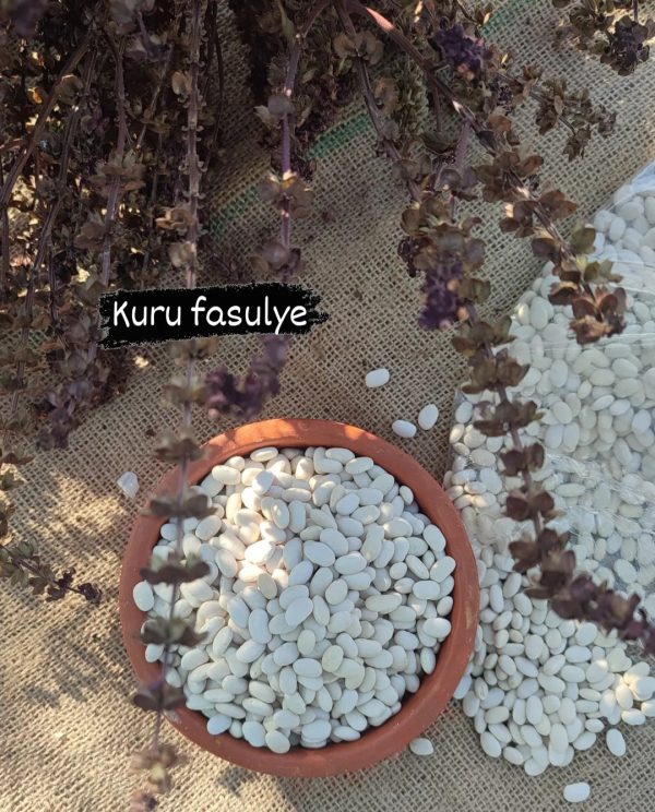 Kuru fasulye