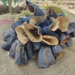 DOLMALIK UÇ PATLICAN