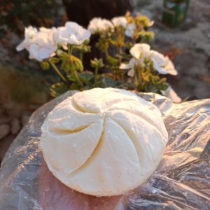 Tereyağı