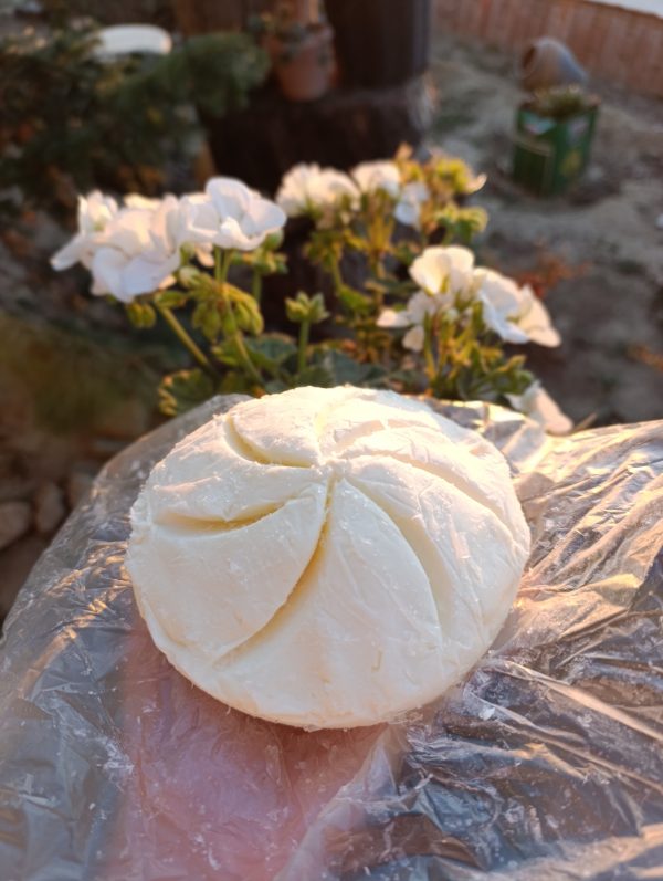 Tereyağı