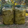 2 Adet 5 KG Salamura Yaprak