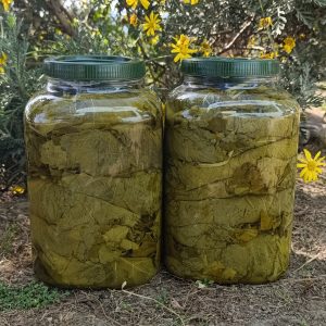 2 Adet 5 KG Salamura Yaprak