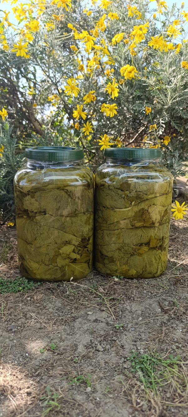 2 Adet 5 KG Salamura Yaprak