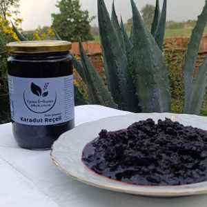 Karadut Reçeli