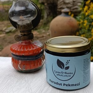 Karadut Pekmezi