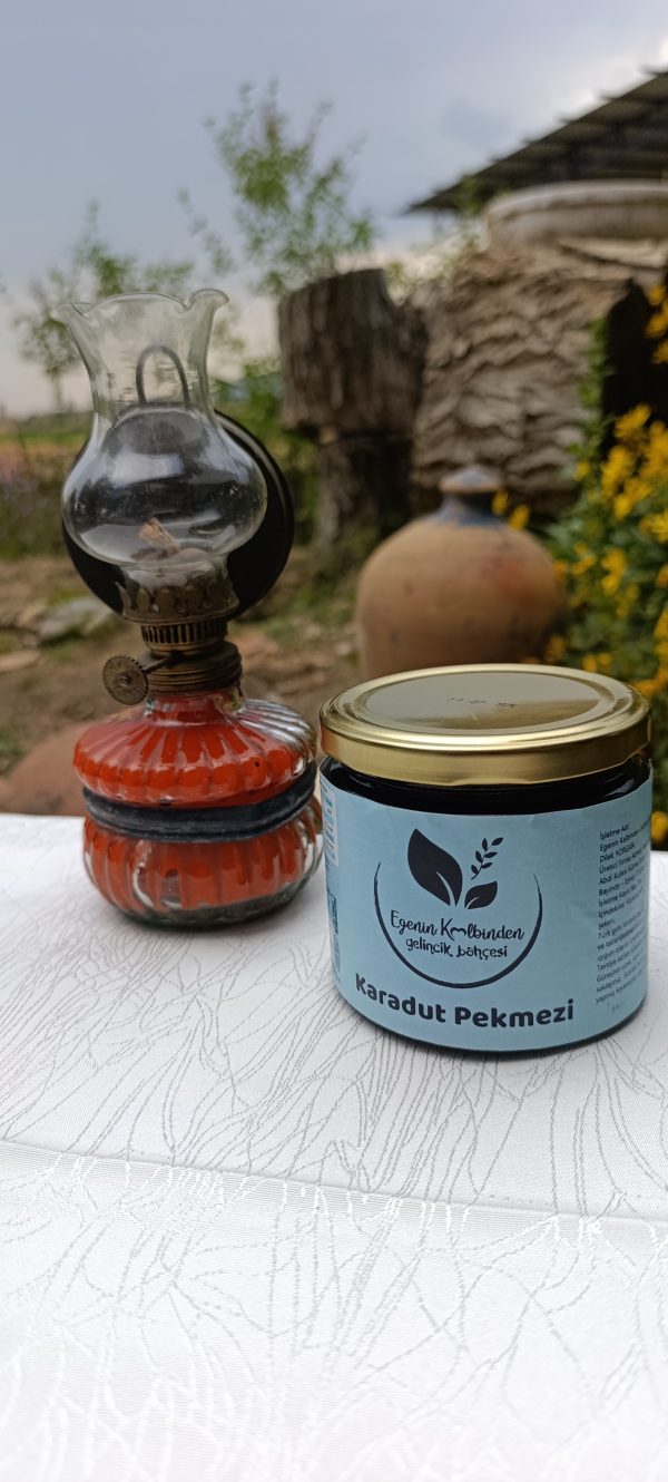 Karadut Pekmezi