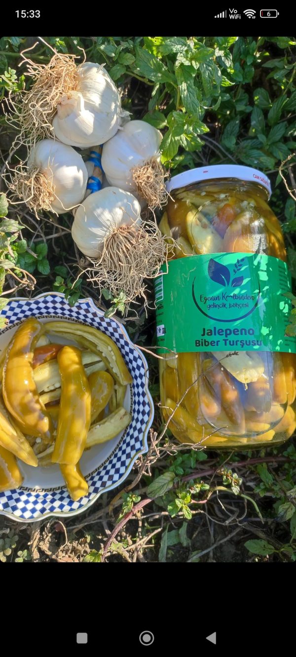 Jalapeno Biber Turşusu