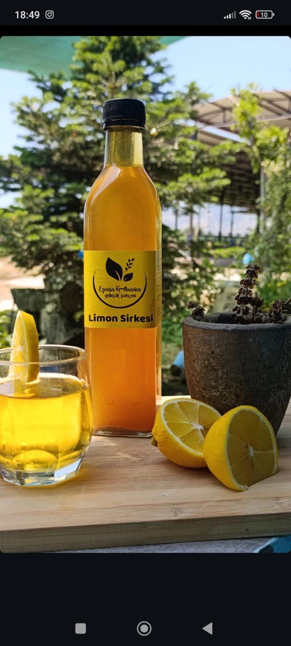 Limon Sirkesi