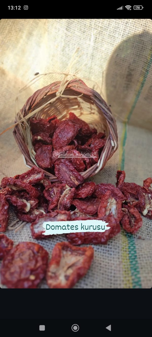 Domates Kurusu