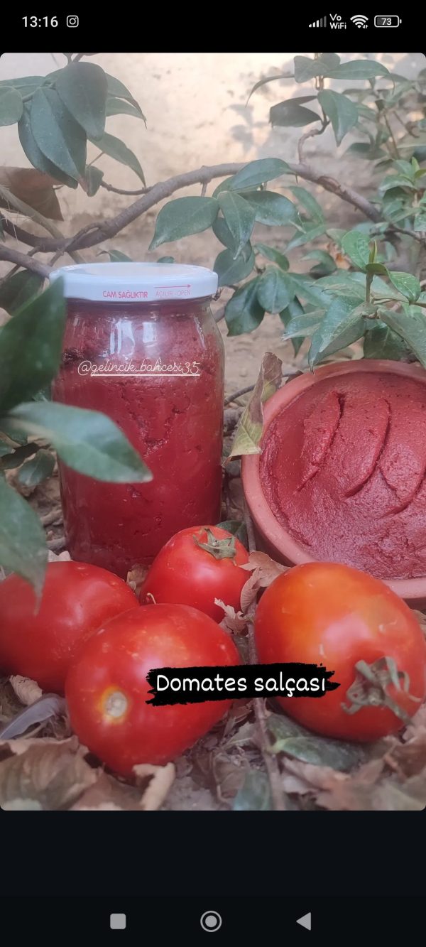 Domates Salçası