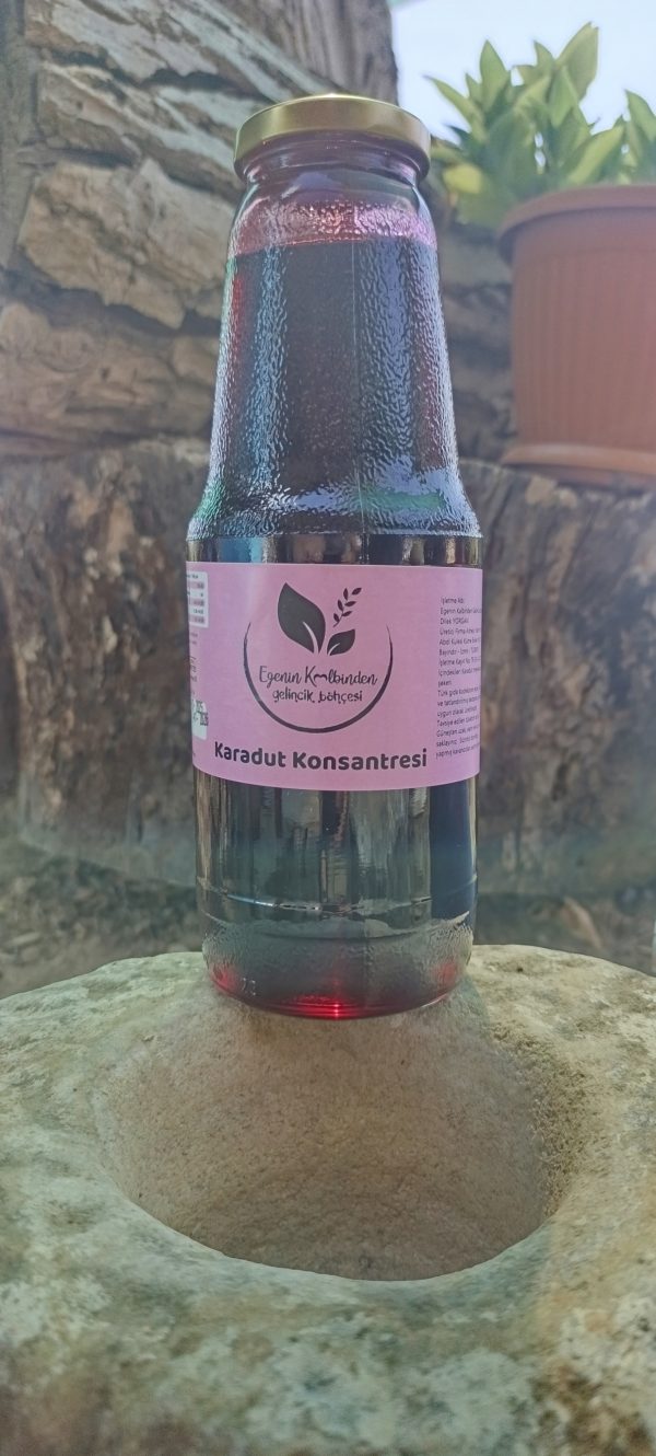 KARADUT KONSANTRESİ(TANESİZ)