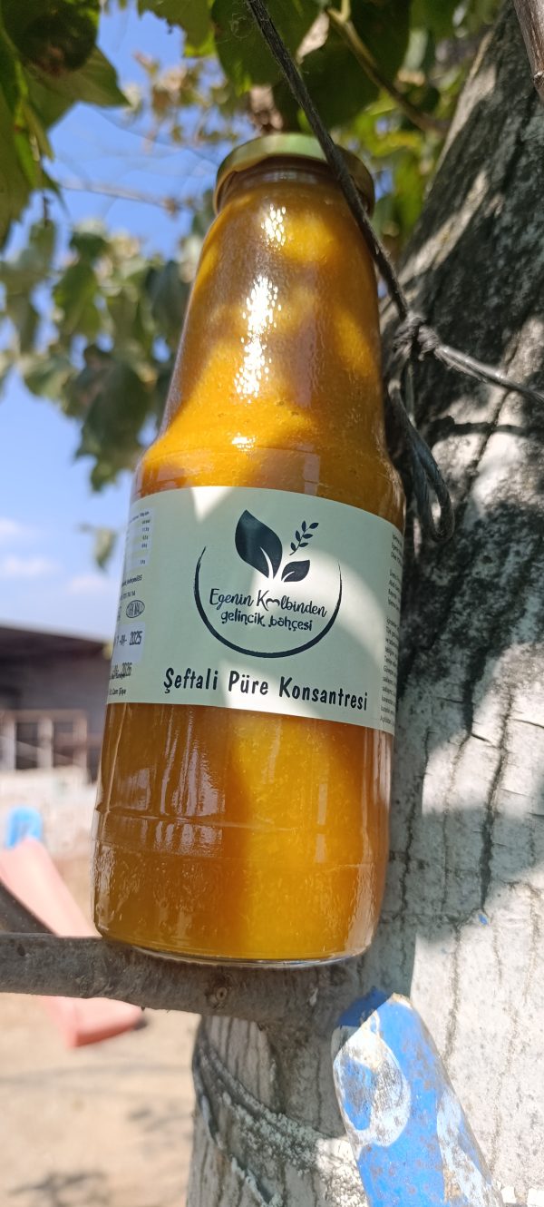 ŞEFTALİ KONSANTRESİ