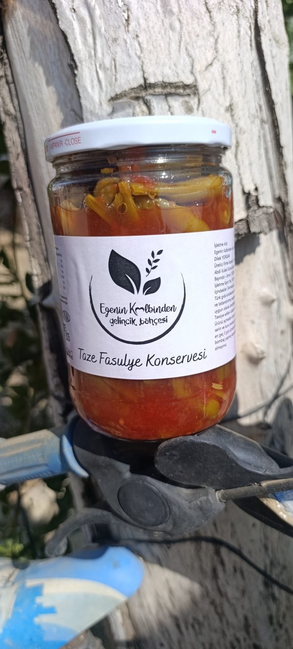 TAZE FASULYE KONSERVESİ