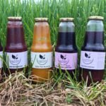 MEYVE SUYU KAMPANYASI