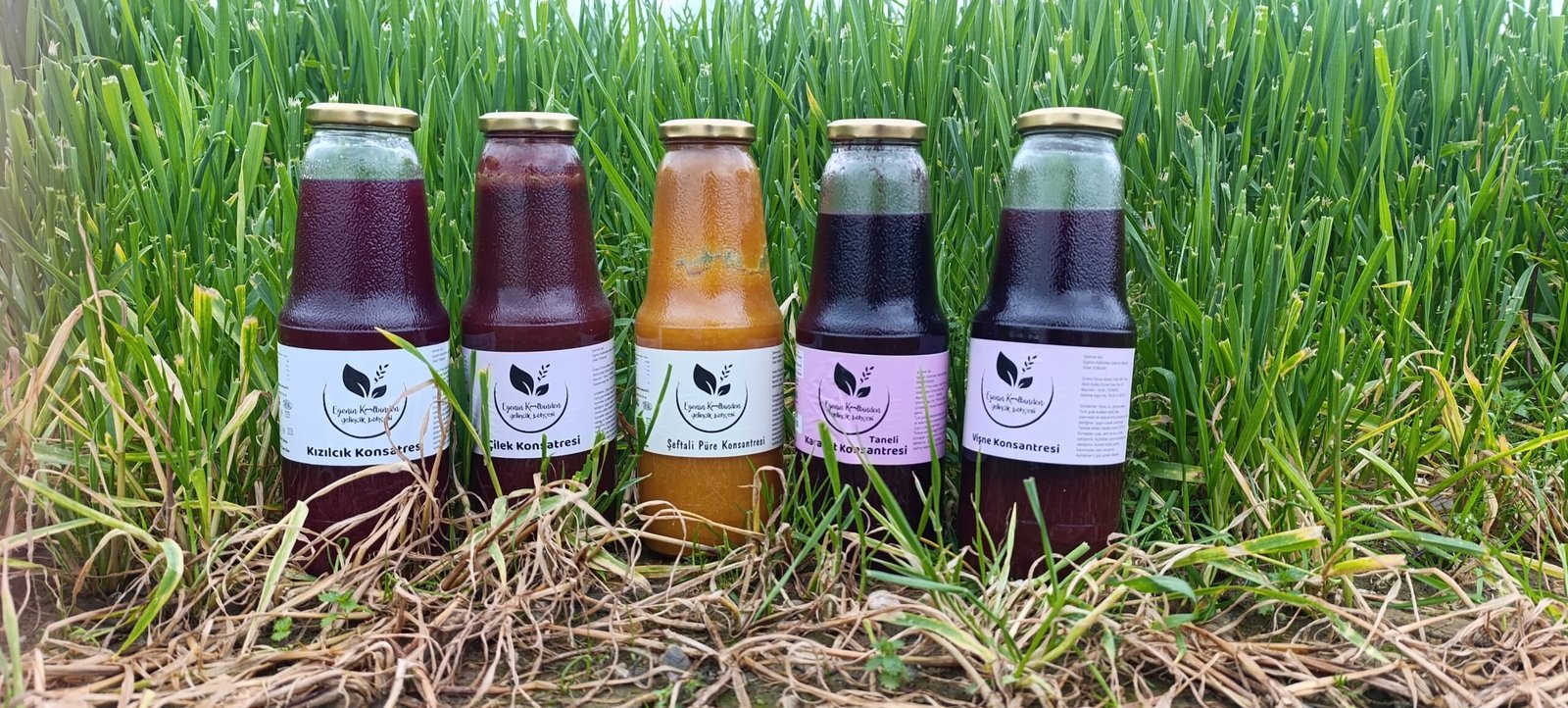 MEYVE SUYU KAMPANYASI