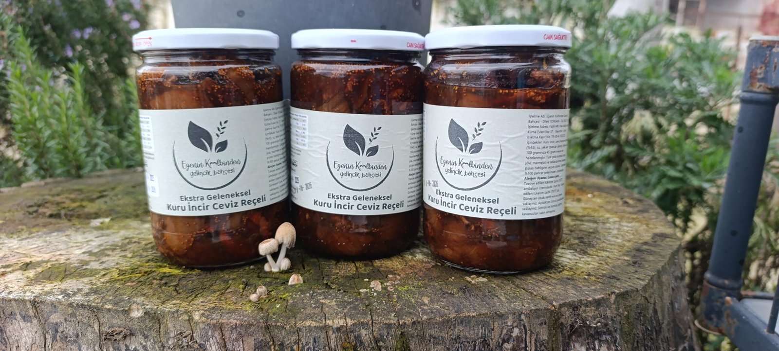 CEVİZLİ KURU İNCİR KAMPANYASI