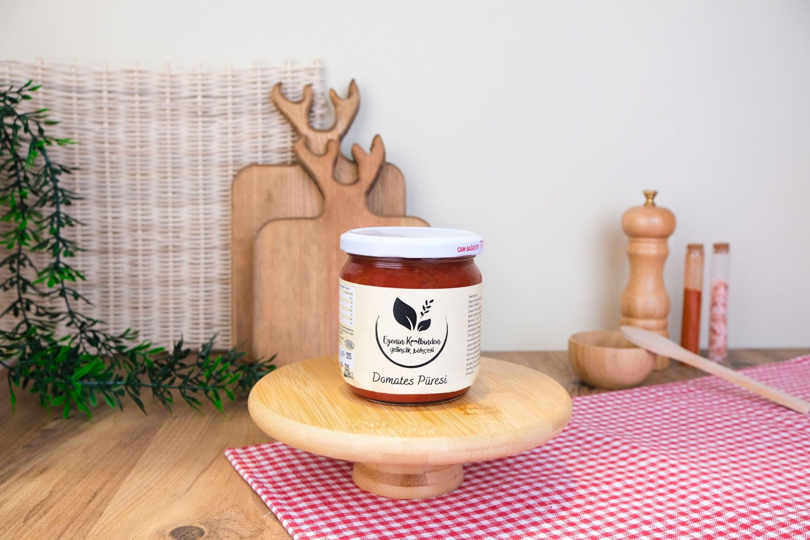 10'LU DOMATES PÜRESİ