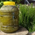 SALAMURA YAPRAK( 5 kg PET)
